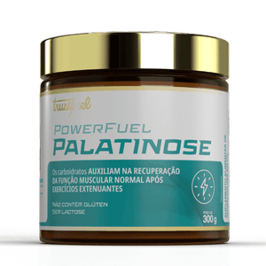 POWERFUEL PALATINOSE - 300G